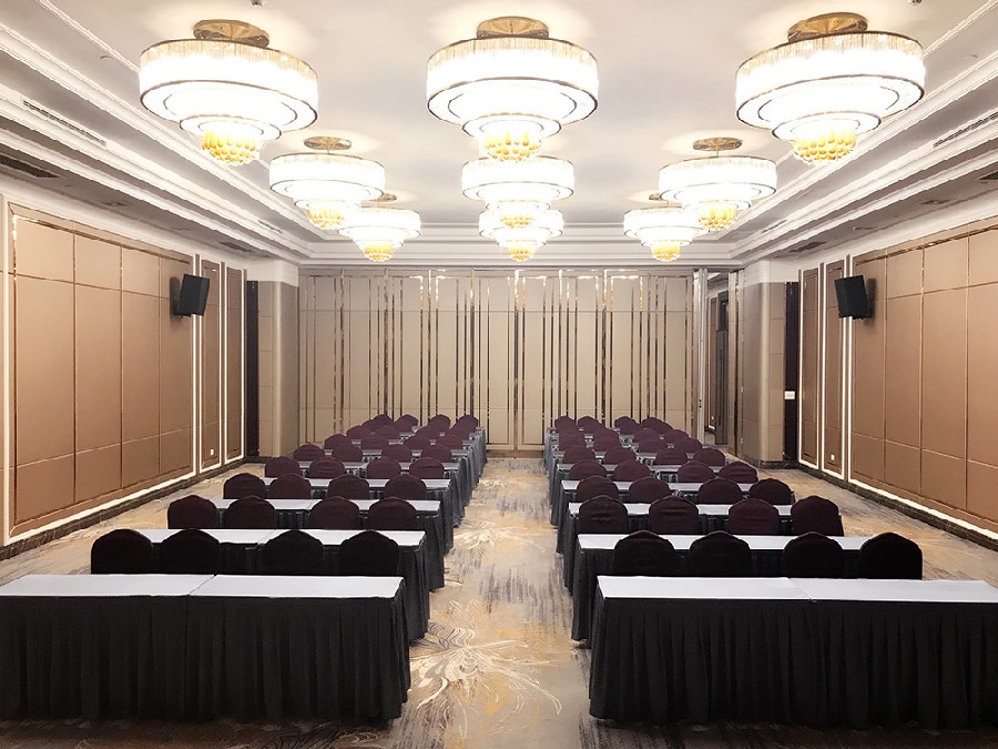 Conference cases