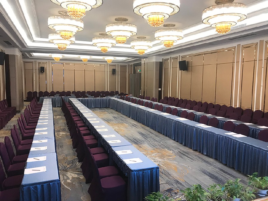 Conference cases