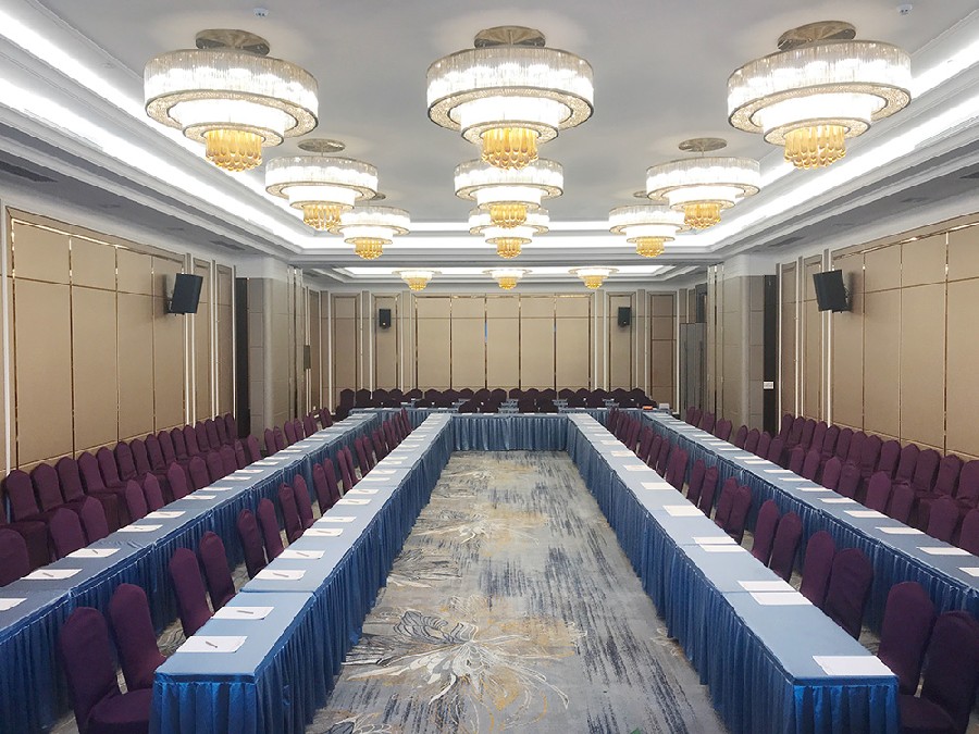 Conference cases